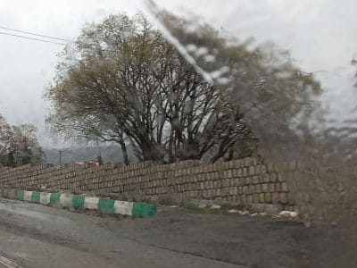 به فریاد چغا سبز برسید!!!!!