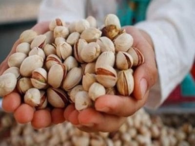 دلیل ممنوعیت واردات پسته ایرانی به اروپا