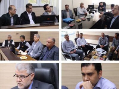 ارزیابی عملکرد شرکت توزیع نیروی برق استان کرمانشاه در حوزه‌ مشترکین