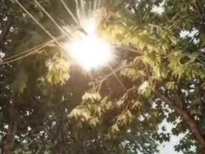 یک شاخه، یک جرقه؛ و احتمال یک خاموشی گسترده!